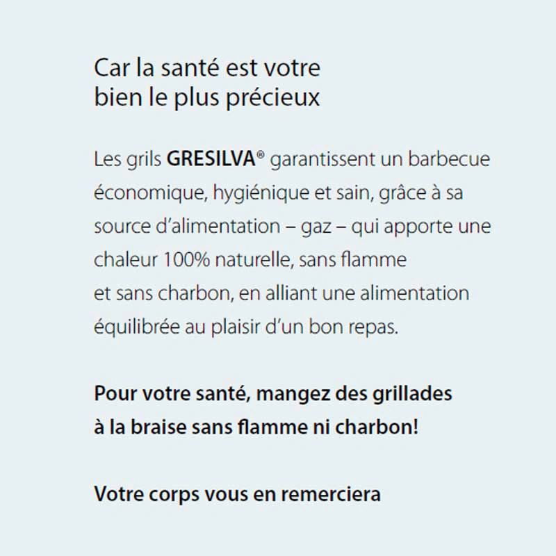 Barbecue à gaz professionnel compact inox
