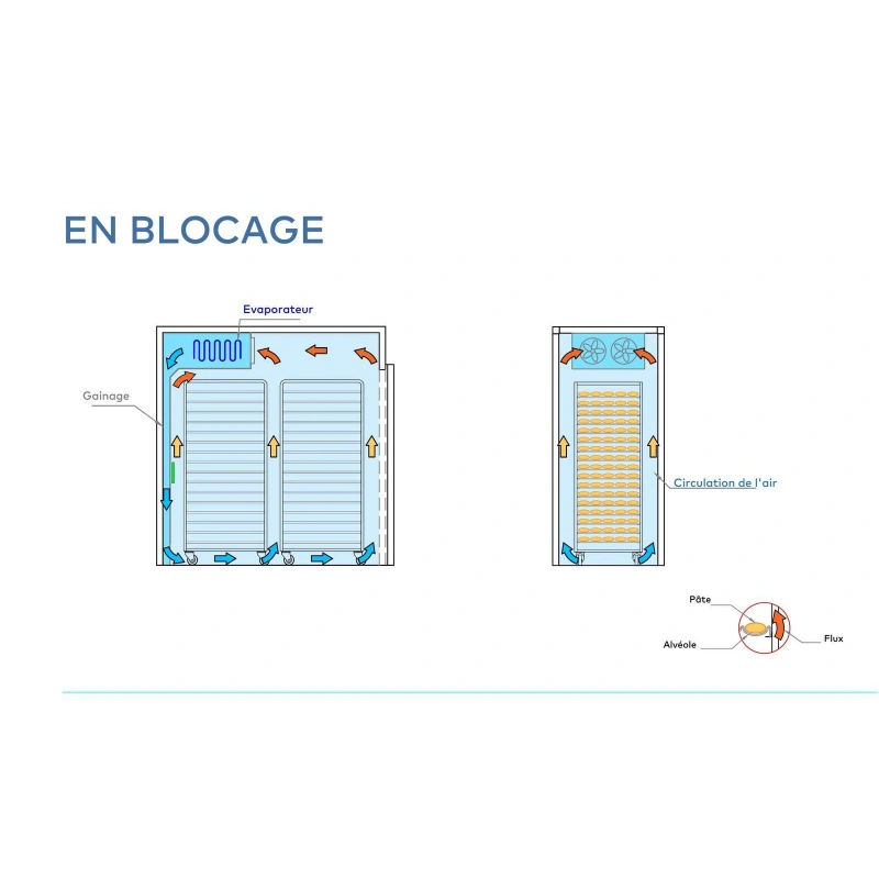 Chambres de fermentation contrôlée Blue Roll 46