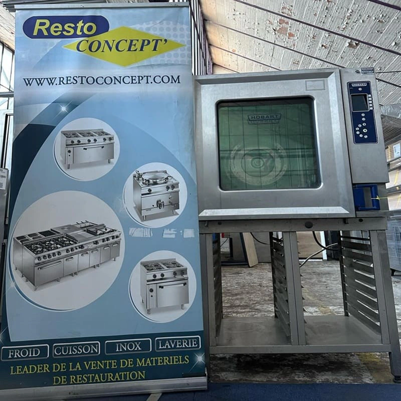 Four mixte électrique d'Occasion