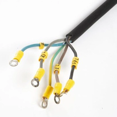 Friteuse electrique avec robinet de vidange 2x10L