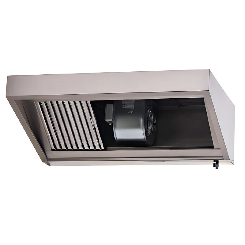 Hotte aspirante murale Avec moteur RBM11-20