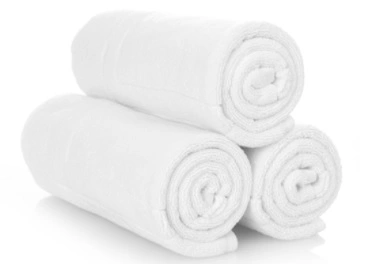 Seche linge professionnel Economic Line 10kg T
